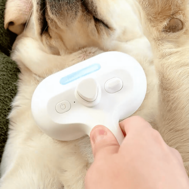 BrushPaw Stoomborstel voor Honden