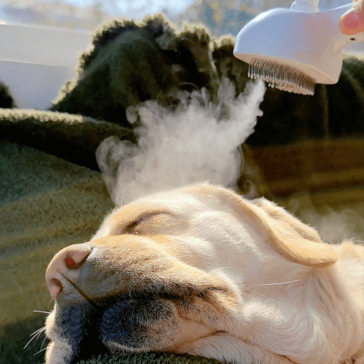 BrushPaw Stoomborstel voor Honden
