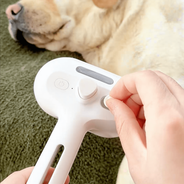 BrushPaw Stoomborstel voor Honden