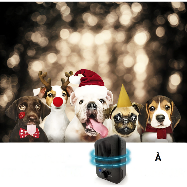 Ultrasoon antiblafapparaat voor honden