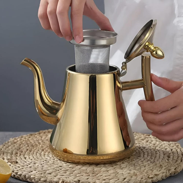 RVS Waterkoker met Ingebouwd Filter