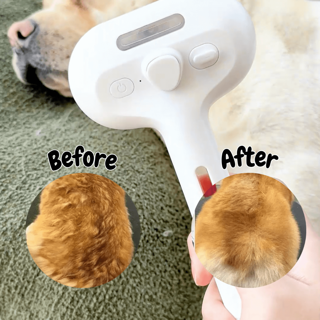 BrushPaw Stoomborstel voor Honden