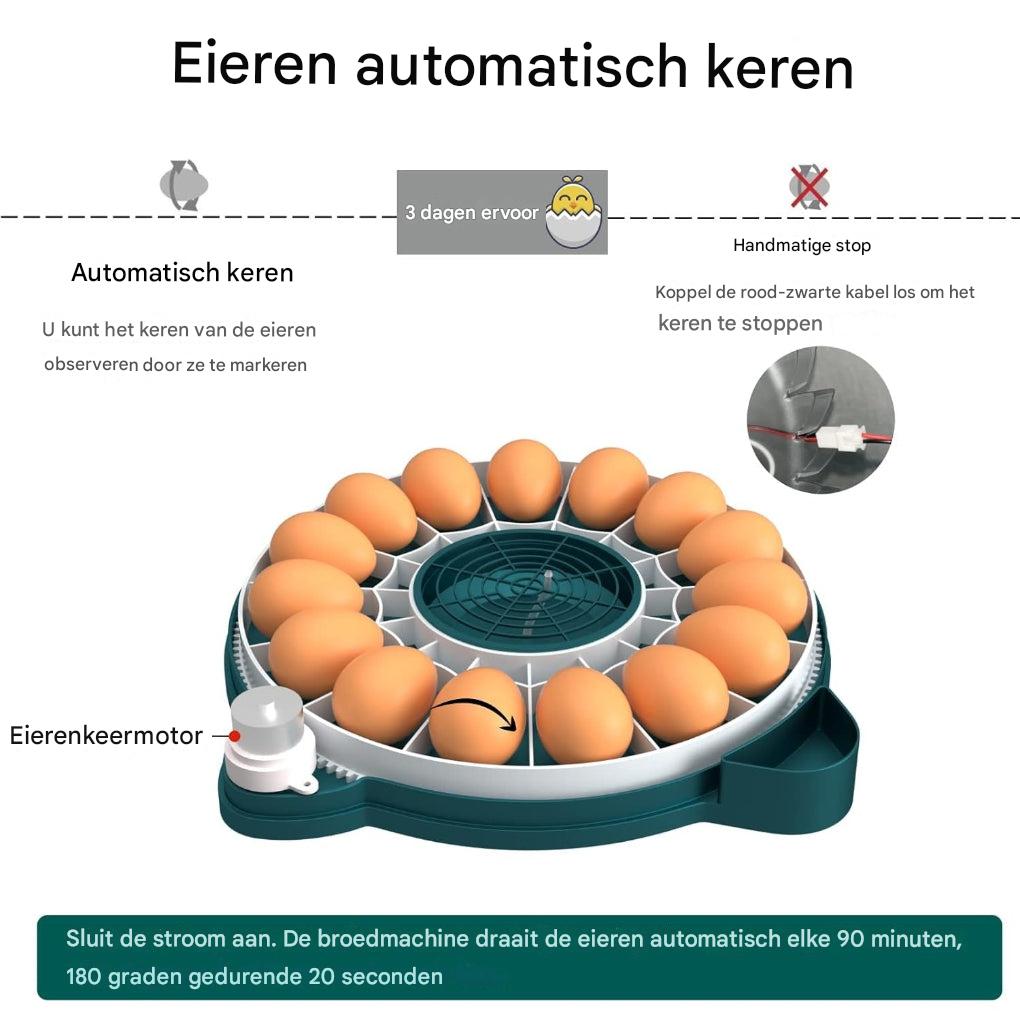 Broedmachine voor 15 eieren met automatische vochtigheidsregeling