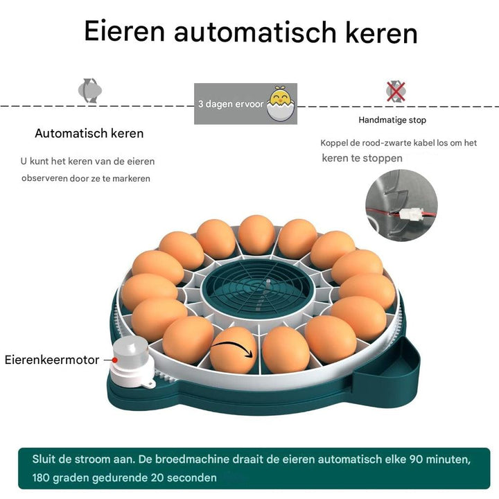 Broedmachine voor 15 eieren met automatische vochtigheidsregeling