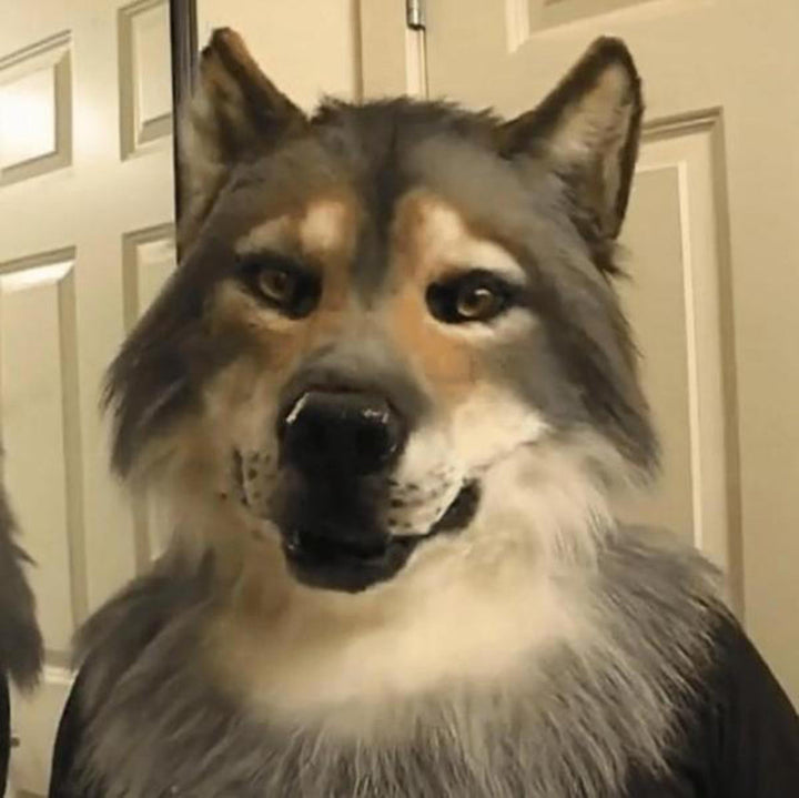 Realistisch Wolfsmasker