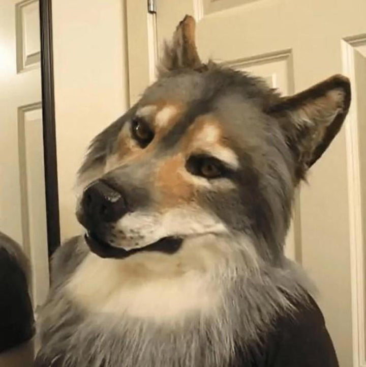 Wolf Mask - Realistic Effect - Halloween zaxx